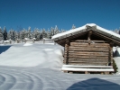 Urlaub am Bauernhof