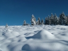 Urlaub am Bauernhof