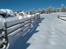 Immagini invernali